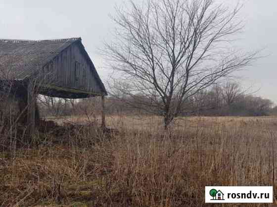 Участок ИЖС 50 сот. в аренду в Усмани Усмань