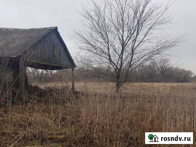 Участок ИЖС 50 сот. в аренду в Усмани Усмань - изображение 1