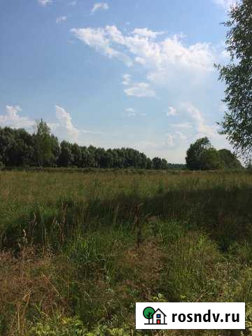 Участок ИЖС 20 сот. на продажу в Пролетарии Пролетарий - изображение 1