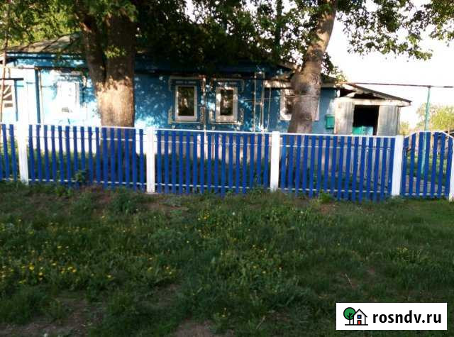 Дом 40 м² на участке 40 сот. на продажу в Гагино Гагино - изображение 1