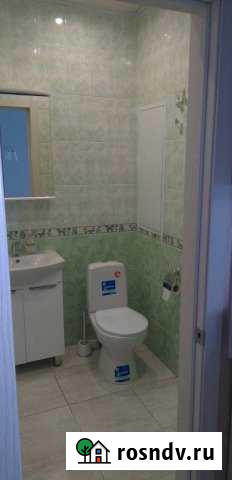 2-комнатная квартира, 50 м², 1/6 эт. в аренду на длительный срок в Пироговском Пироговский - изображение 1