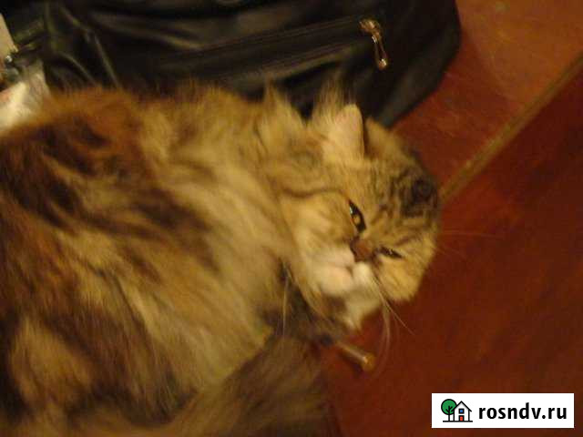 Комната 29 м² в 2-ком. кв., 4/5 эт. на продажу в Ржеве Ржев - изображение 1