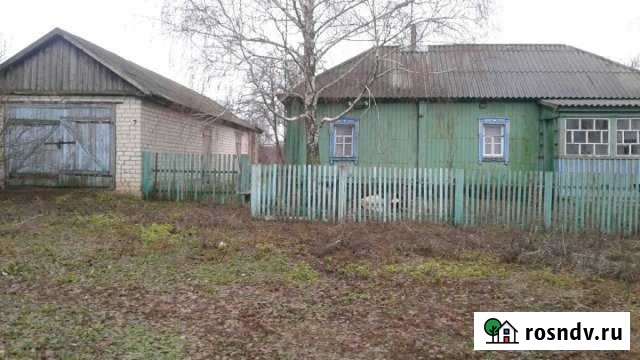 Дача 44 м² на участке 30 сот. на продажу в Репьевке Репьевка - изображение 1