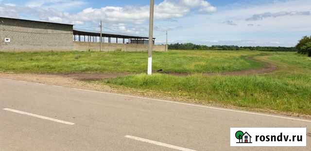 Участок ИЖС 25 сот. на продажу в Рязанской Рязанская - изображение 1