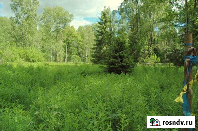 Участок ИЖС 20 сот. на продажу в Выборге Выборг - изображение 1