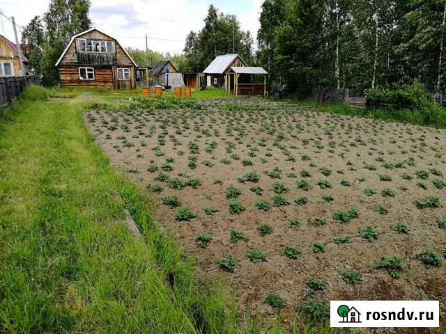 Дом 20 м² на участке 10 сот. на продажу в Нягани Нягань - изображение 1