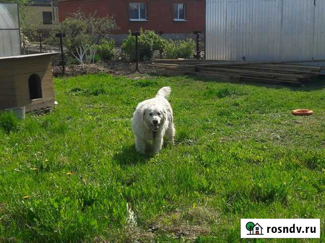 Участок ИЖС 8 сот. на продажу в Московском Тюменской области Московский - изображение 1