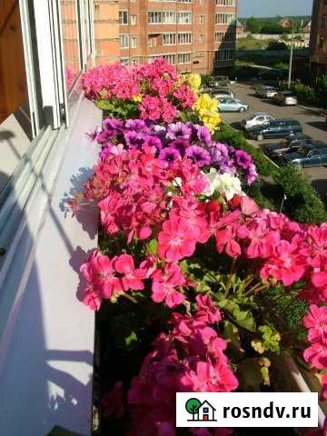 2-комнатная квартира, 61 м², 3/5 эт. на продажу в Богородском Московской области Богородское - изображение 1