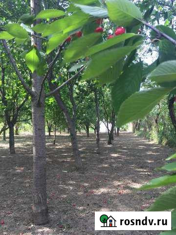 Дом 140 м² на участке 50 сот. на продажу в Старонижестеблиевской Старонижестеблиевская - изображение 1