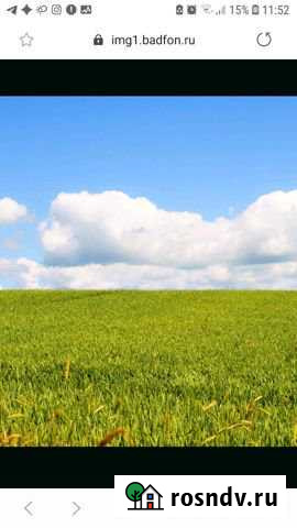 Участок СНТ, ДНП 380 сот. на продажу в Клинцах Клинцы - изображение 1