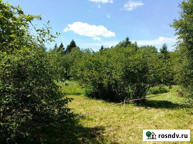 Участок ИЖС 20 сот. на продажу в Кингисеппе Кингисепп - изображение 1