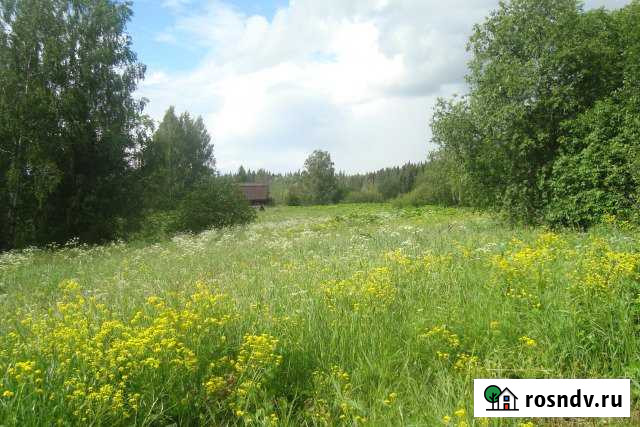 Участок СНТ, ДНП 150 сот. на продажу в Арбаже Арбаж - изображение 1