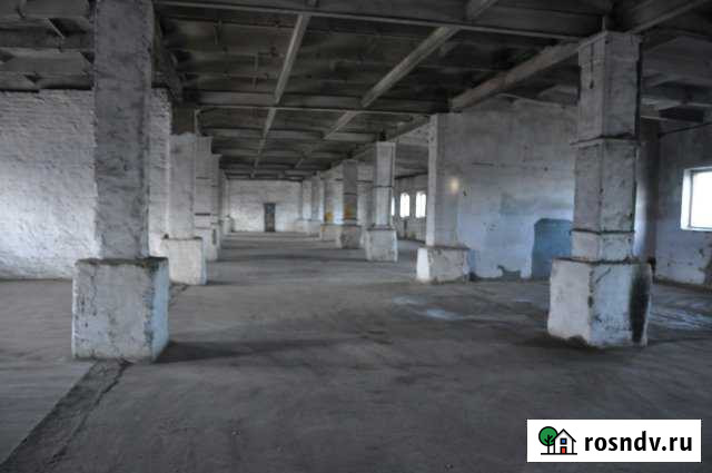 2 помещения по 931 кв.м. Чита - изображение 1