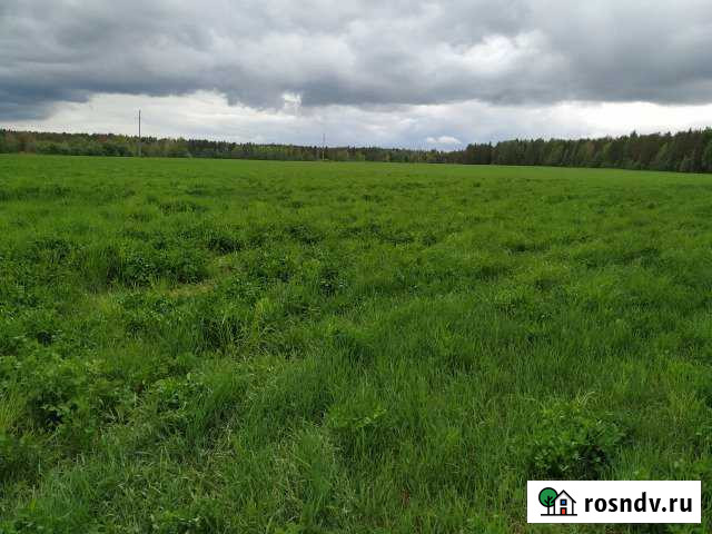 Участок СНТ, ДНП 200000 сот. на продажу в Тихвине Тихвин - изображение 1