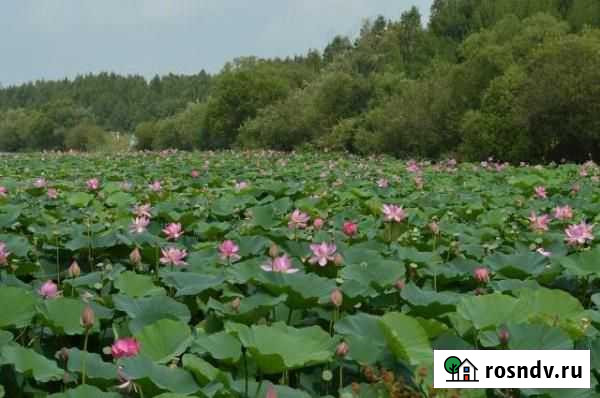 Участок ИЖС 10 сот. на продажу в Князе-Волконском Князе-Волконское - изображение 1