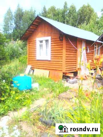 Дача 20 м² на участке 10 сот. на продажу в Буревестнике Буревестник - изображение 1