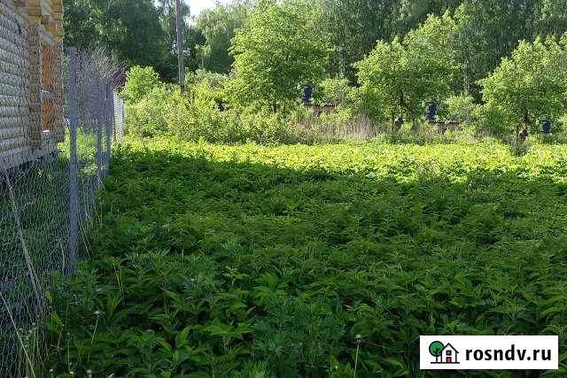 Участок СНТ, ДНП 5 сот. на продажу в Городце Городец - изображение 1