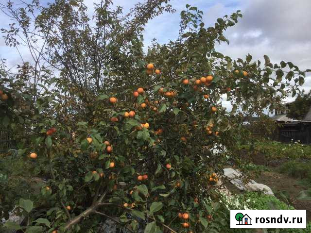 Дача 20 м² на участке 6.3 сот. на продажу в Усолье-Сибирском Усолье-Сибирское - изображение 1