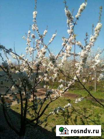 Участок ИЖС 29 сот. на продажу в Марьянской Марьянская - изображение 1