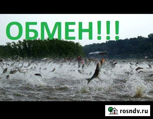 Здание 120м2, Рыбхоз,Фермерское, База Отдых Курск - изображение 1