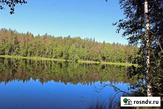 Участок СНТ, ДНП 3555 сот. на продажу в Лахденпохье Лахденпохья - изображение 1