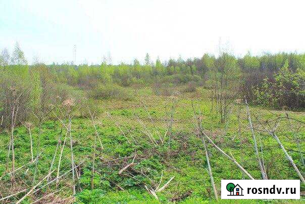 Участок ИЖС 50 сот. на продажу в Демянске Демянск - изображение 1