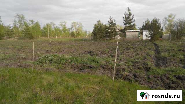 Участок СНТ, ДНП 6 сот. на продажу в Рамони Рамонь - изображение 1