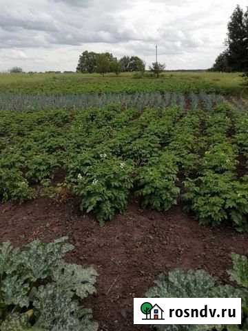 Участок ИЖС 7 сот. на продажу в Обшаровке Обшаровка - изображение 1