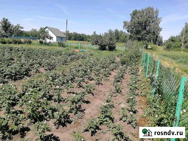 Участок ИЖС 14 сот. на продажу в Ярково Новосибирской области Ярково - изображение 1