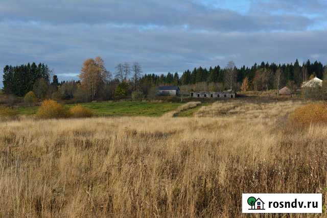 Участок СНТ, ДНП 25 сот. на продажу в Лахденпохье Лахденпохья - изображение 1