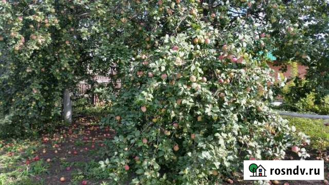 Участок ИЖС 6 сот. на продажу в Новосемейкино Новосемейкино - изображение 1