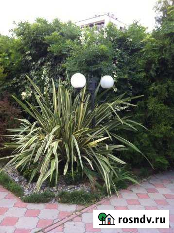 Дача 32 м² на участке 6 сот. на продажу в Озерске Калининградской области Озерск - изображение 1