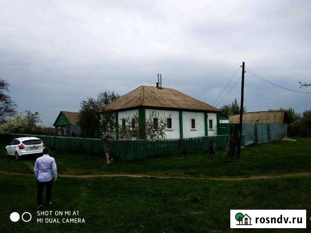 Дом 53 м² на участке 60 сот. на продажу в Роговатом Роговатое - изображение 1