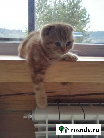 Дом 73 м² на участке 13 сот. на продажу в Дивногорске Дивногорск - изображение 1