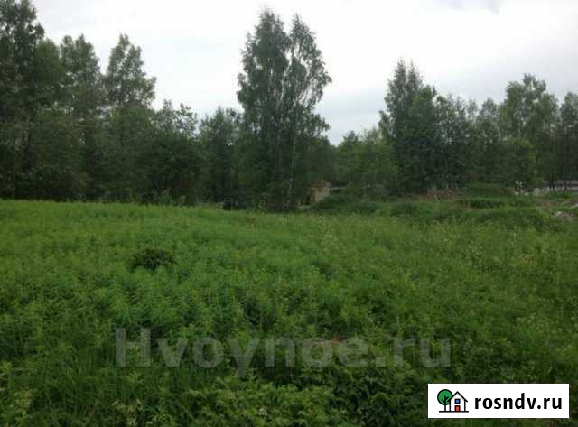 Участок СНТ, ДНП 220 сот. на продажу в Приозерске Приозерск - изображение 1