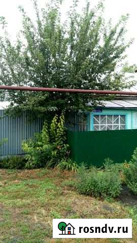 Дом 50 м² на участке 27 сот. на продажу в Бокино Бокино - изображение 1