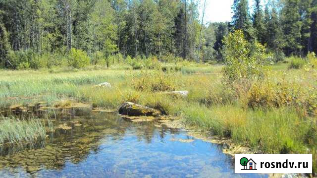 Участок СНТ, ДНП 10000 сот. в аренду в Волосово Волосово - изображение 1