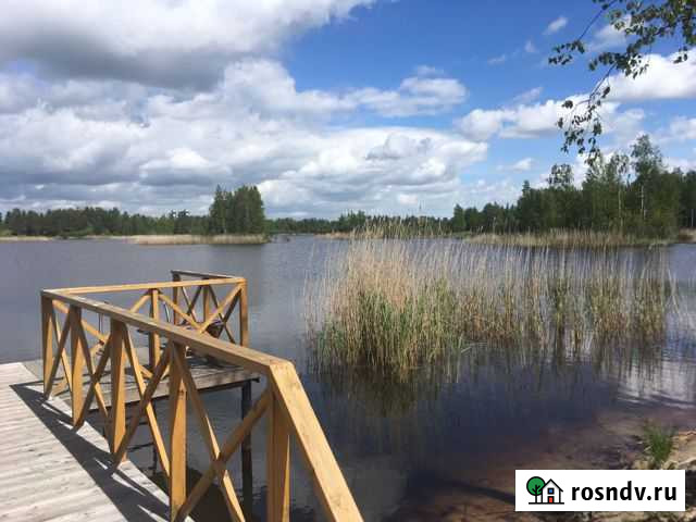 Участок СНТ, ДНП 25 сот. на продажу в Павлово Ленинградской области Павлово - изображение 1