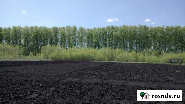 Участок СНТ, ДНП 9 сот. на продажу в Пензе Пенза - изображение 1