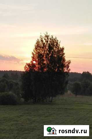 Участок ИЖС 53 сот. на продажу в Печорах Печоры - изображение 1