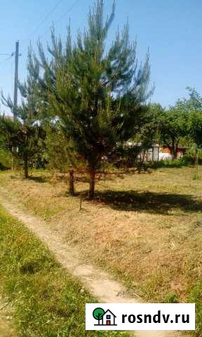 Участок СНТ, ДНП 5 сот. на продажу в Ржеве Ржев - изображение 1