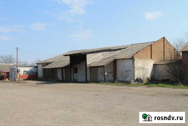 Помещение свободного назначения, 902.8 кв.м. Ейск - изображение 1
