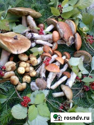 Участок ИЖС 27 сот. на продажу в Казачинском Казачинское - изображение 1