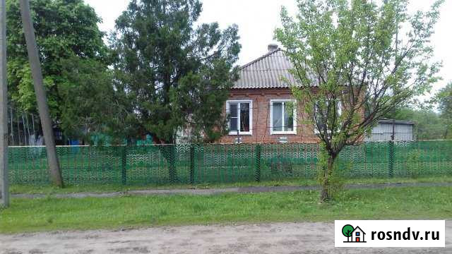 Дом 100 м² на участке 33 сот. на продажу в Кашарах Кашары - изображение 1