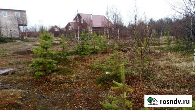 Участок СНТ, ДНП 6 сот. на продажу в Молочном Мурманской области Молочный - изображение 1