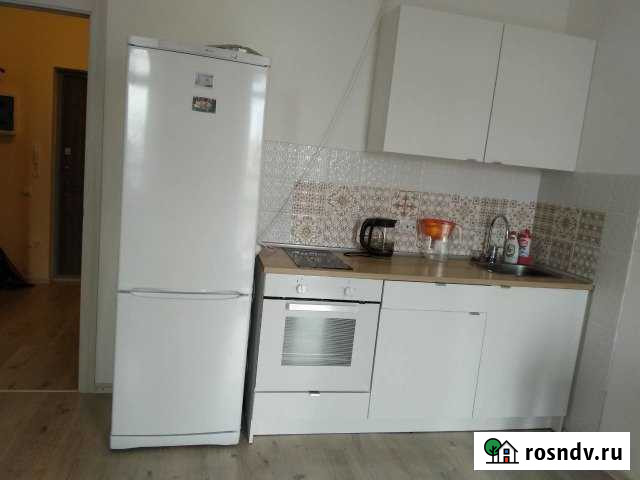 Квартира-студия, 25 м², 7/12 эт. в аренду на длительный срок в Буграх Бугры - изображение 1