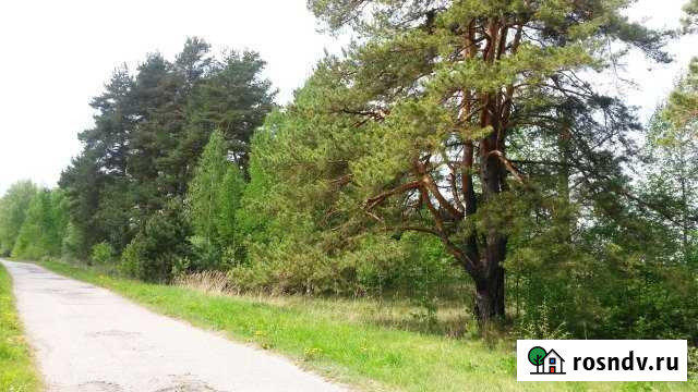 Участок СНТ, ДНП 850 сот. на продажу в Кольчугино Кольчугино - изображение 1