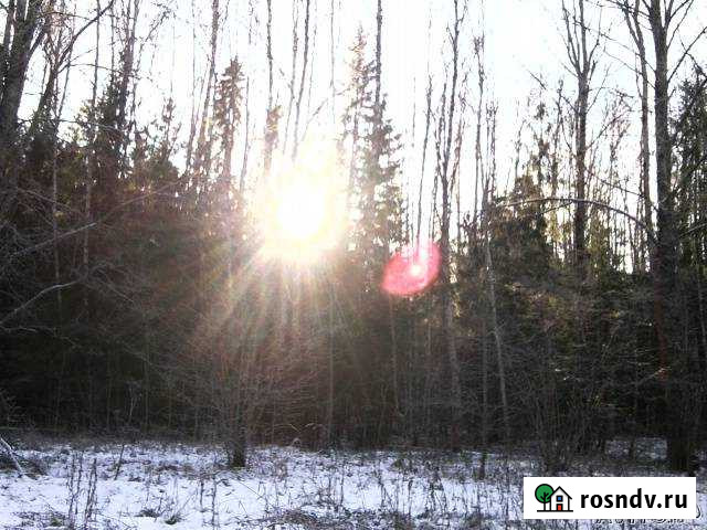 Участок ИЖС 11 сот. на продажу в Марфино Московской области Марфино - изображение 1