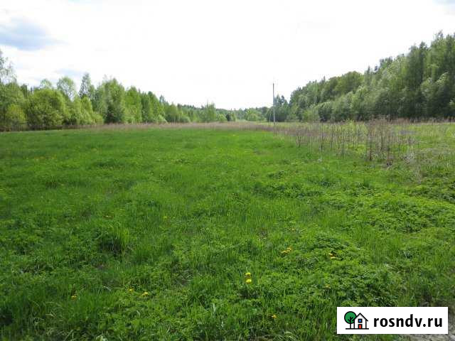 Участок СНТ, ДНП 345 сот. на продажу в Выборге Выборг - изображение 1