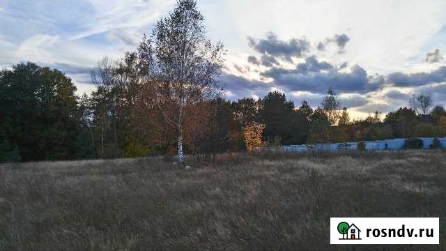 Участок ИЖС 15 сот. на продажу в Шацке Шацк - изображение 1